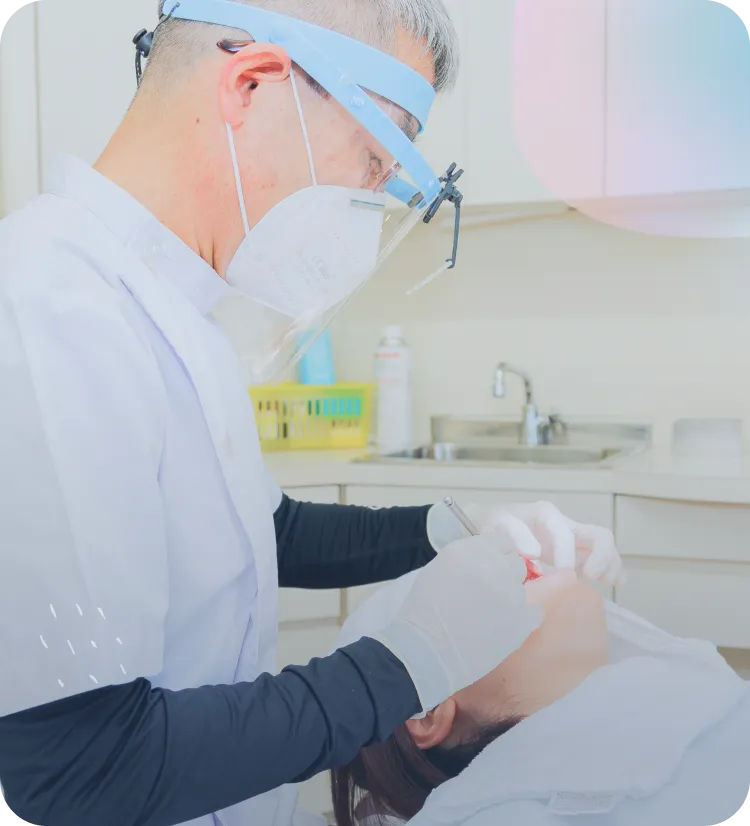 織田歯科医院SP用FV