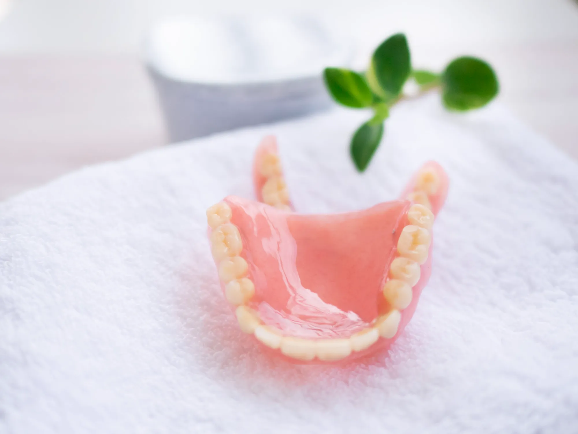 入れ歯・義歯（保険）